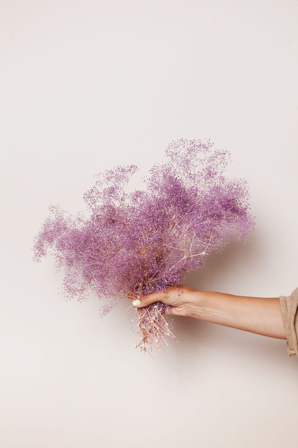 Idlewild Floral Co. Purple Baby's Breath