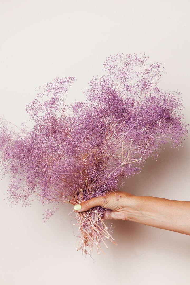 Idlewild Floral Co. Purple Baby's Breath