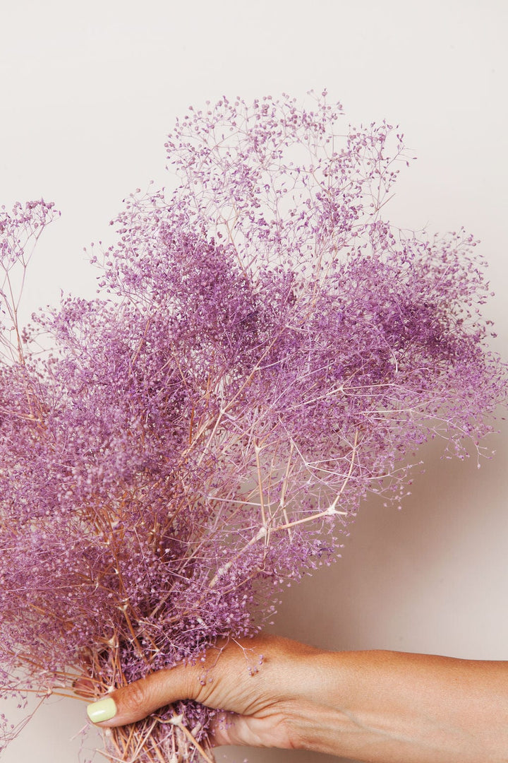 Idlewild Floral Co. Purple Baby's Breath