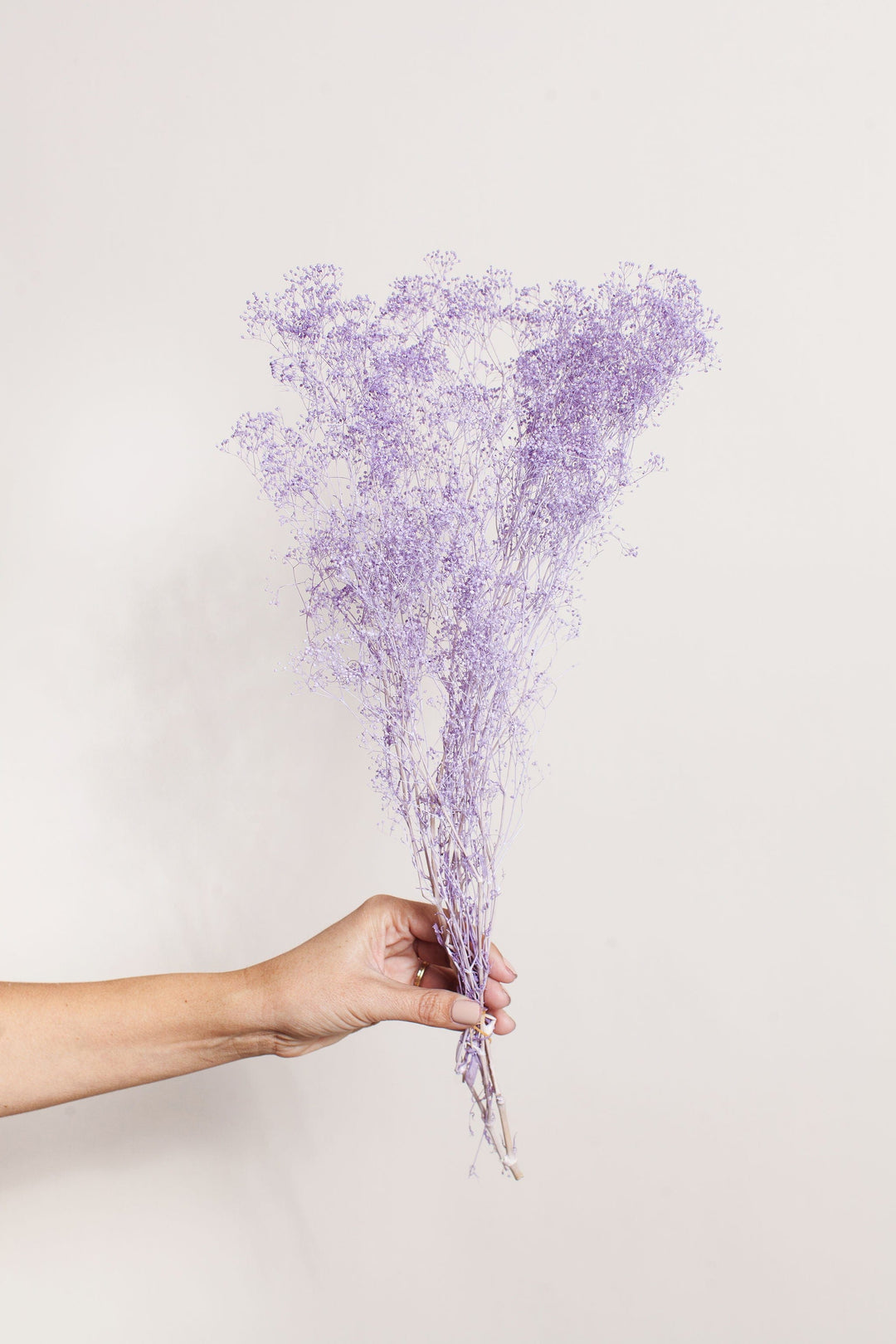 Bunches Purple Baby's Breath send a bouquet- the best flower delivery