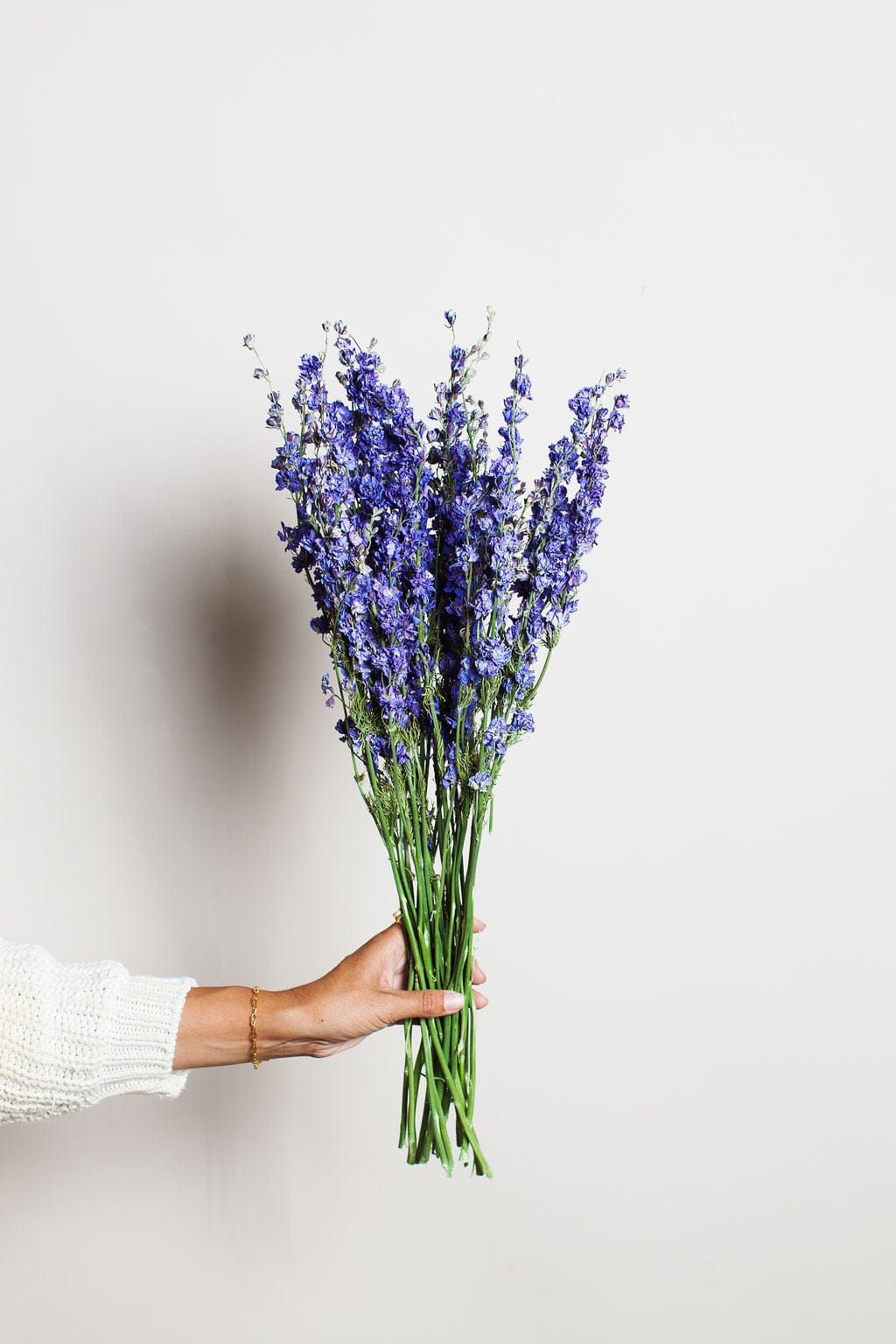 Idlewild Floral Co. Bunches Purple Dried Larkspur