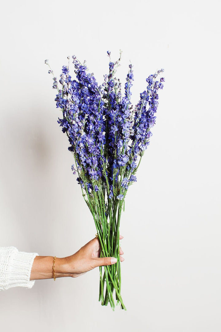 Idlewild Floral Co. Bunches Purple Dried Larkspur