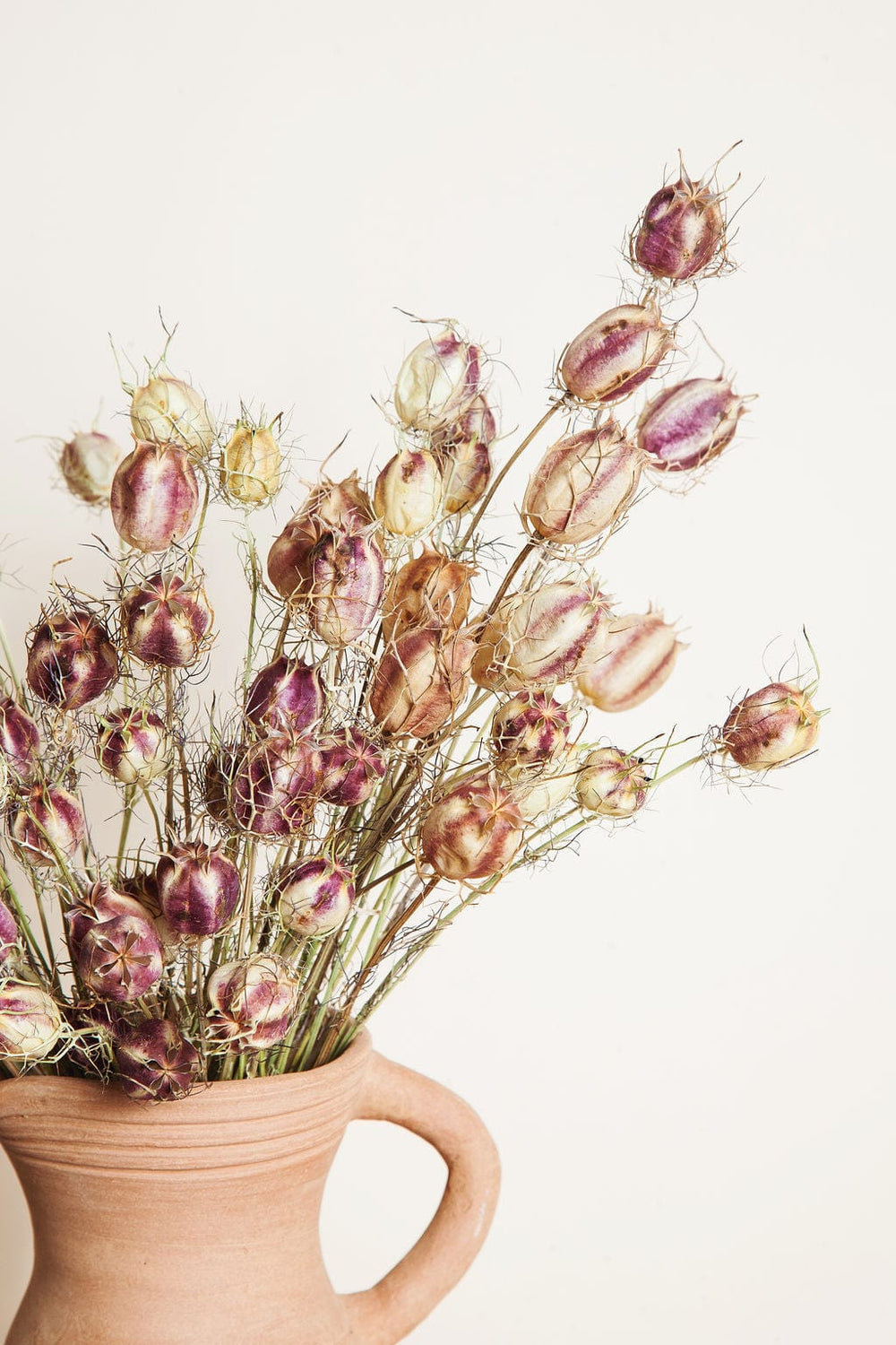 Bunches Purple Green Dried Nigella Pods send a bouquet- the best flower delivery