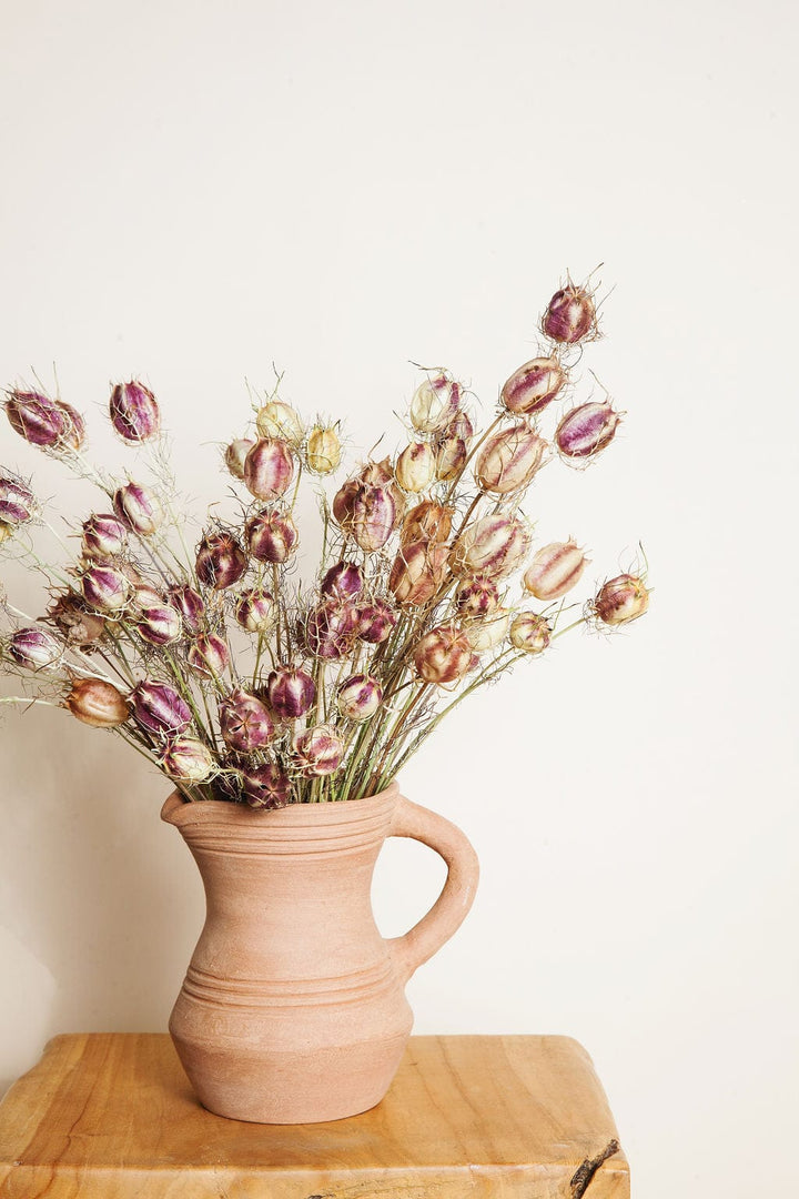 Bunches Purple Green Dried Nigella Pods send a bouquet- the best flower delivery