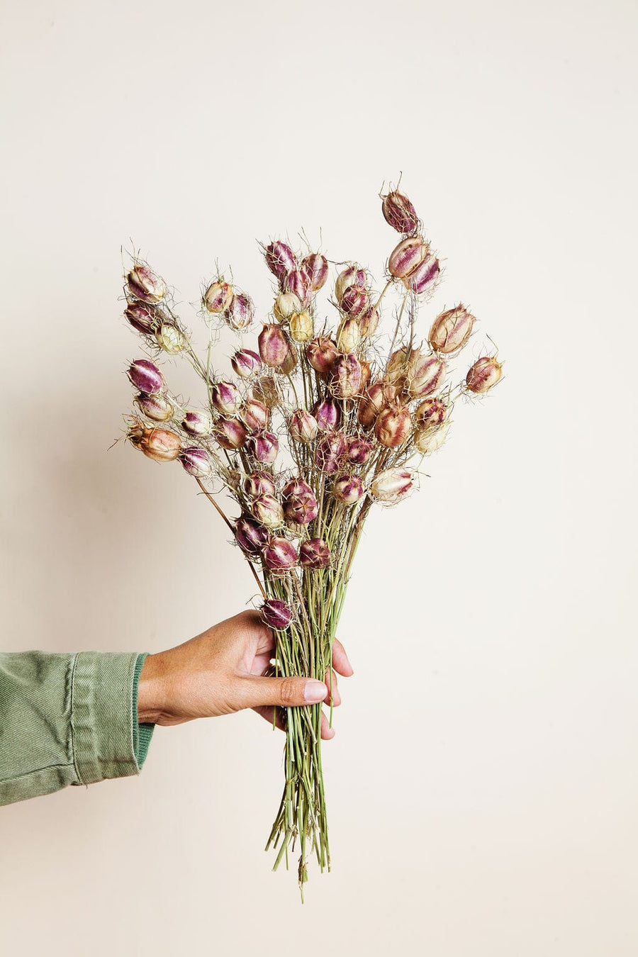 Bunches Purple Green Dried Nigella Pods send a bouquet- the best flower delivery