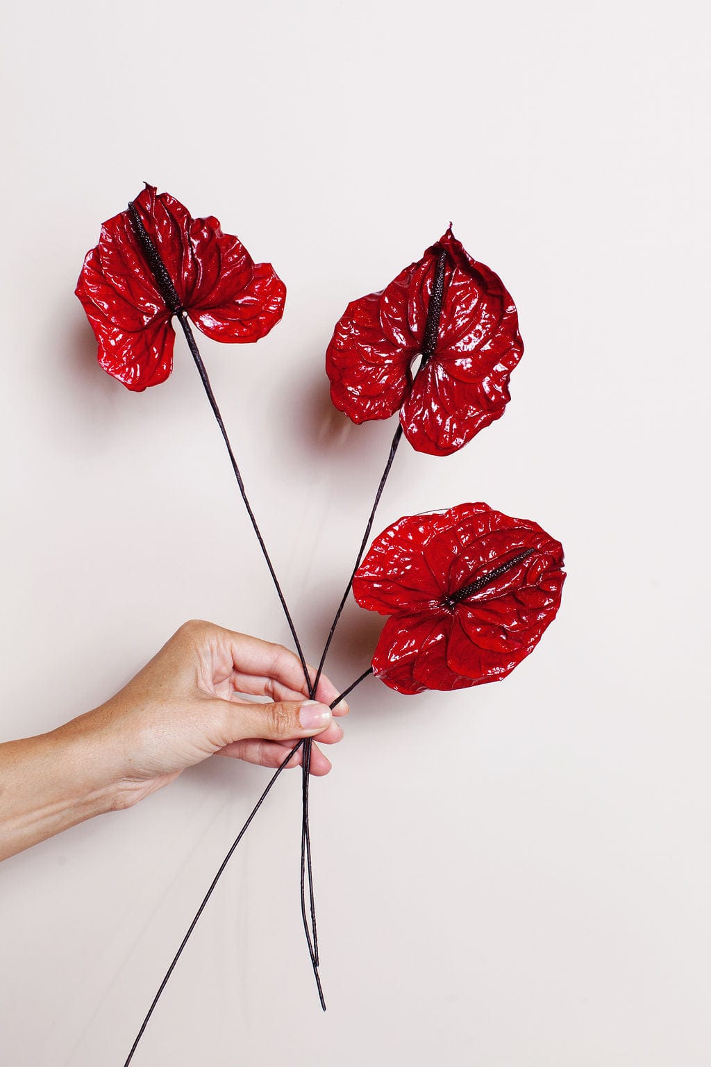 anthurium flowers Preserved Red Anthurium Flower | Bulk Dried Flowers