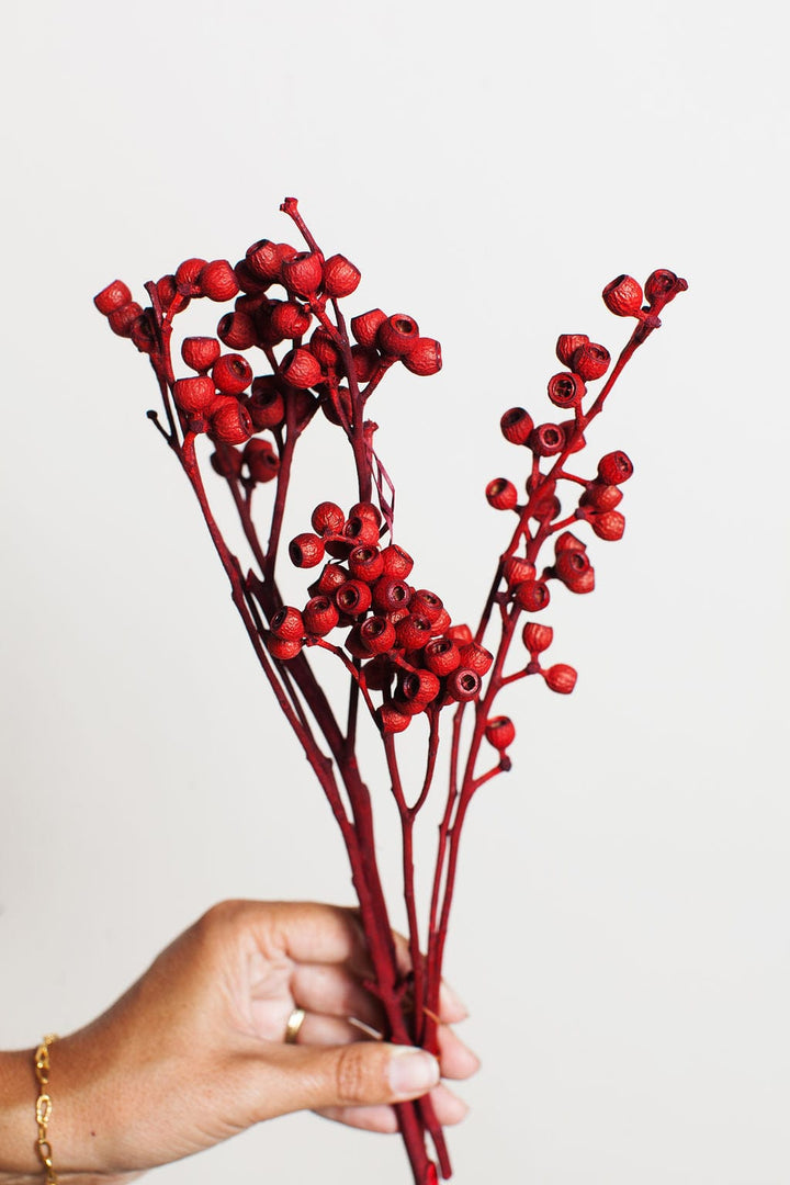 Bunches Red Eucalyptus Pods send a bouquet- the best flower delivery