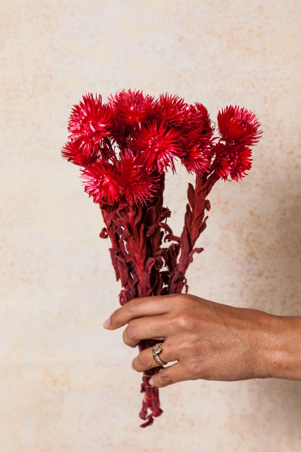 Bunches Red Preserved Daisy send a bouquet- the best flower delivery