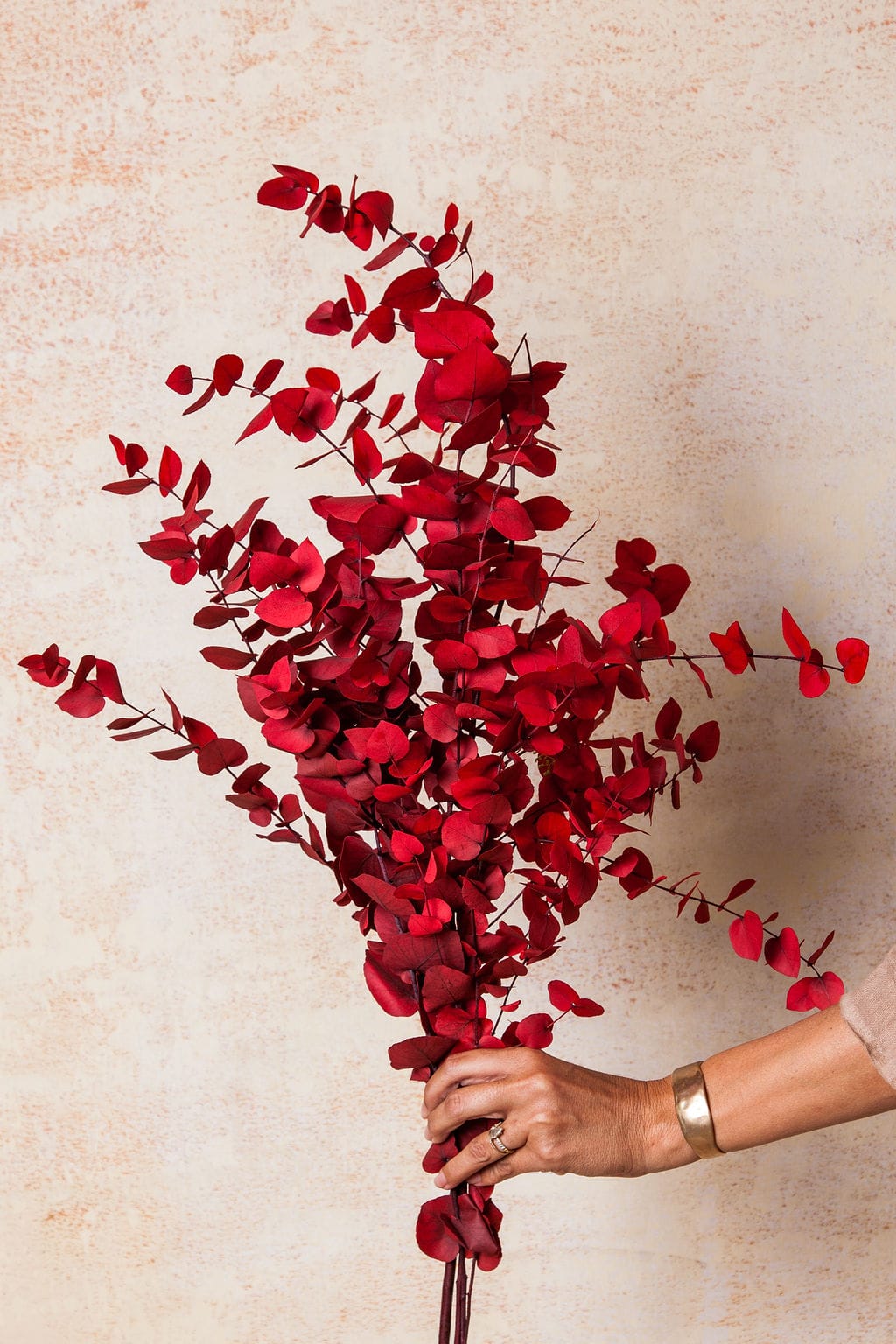 Bunches Red Preserved Eucalyptus send a bouquet- the best flower delivery