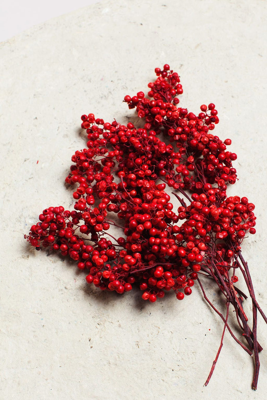 Idlewild Floral Co. Bunches Red Preserved Pepperberry