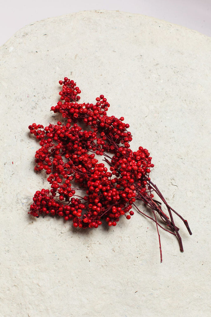 Idlewild Floral Co. Bunches Red Preserved Pepperberry