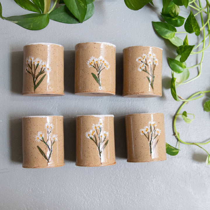 Rustic Daisy Handmade Pressed Flower Tumbler send a bouquet- the best flower delivery
