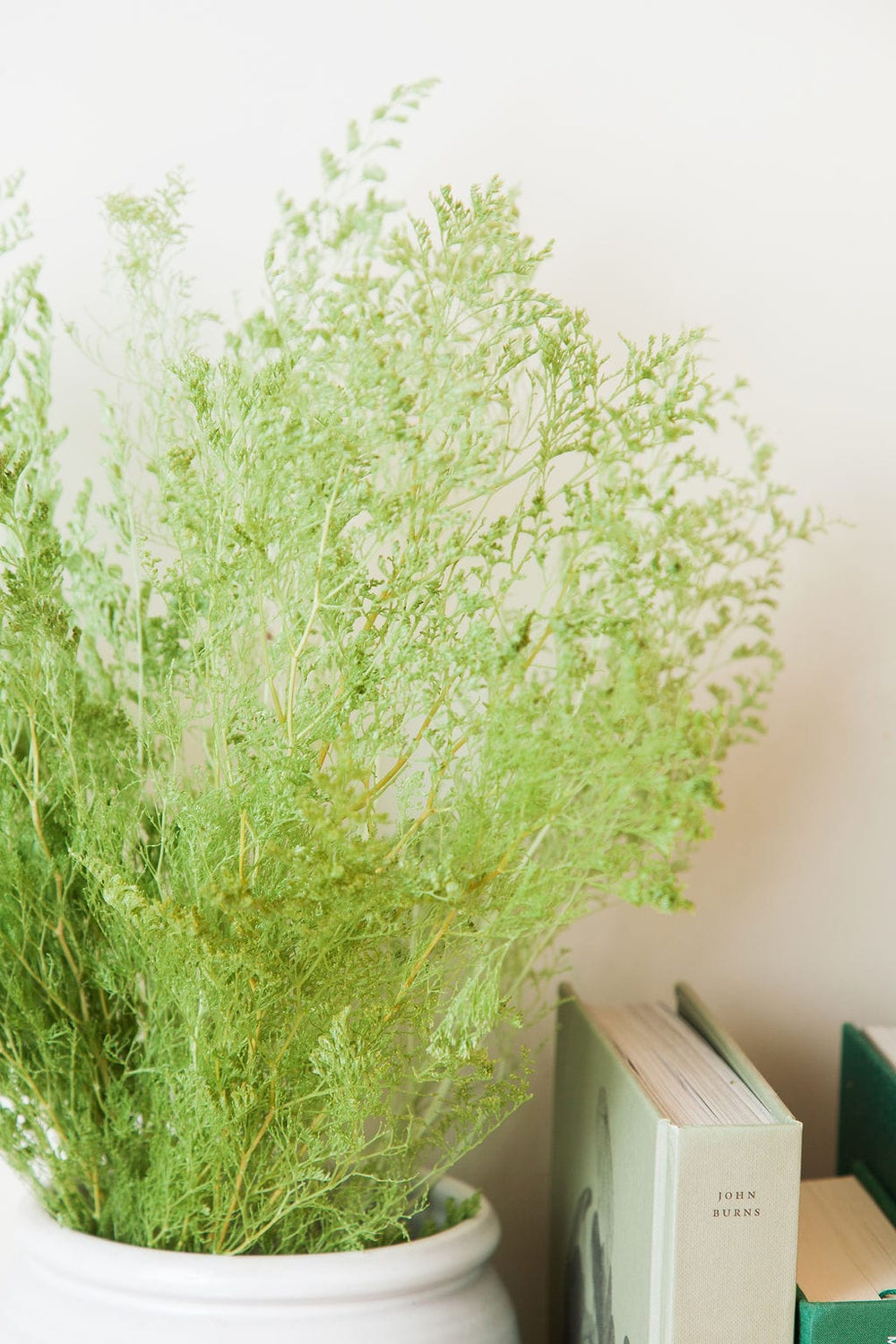 Bunches Spring Green Preserved Caspia send a bouquet- the best flower delivery