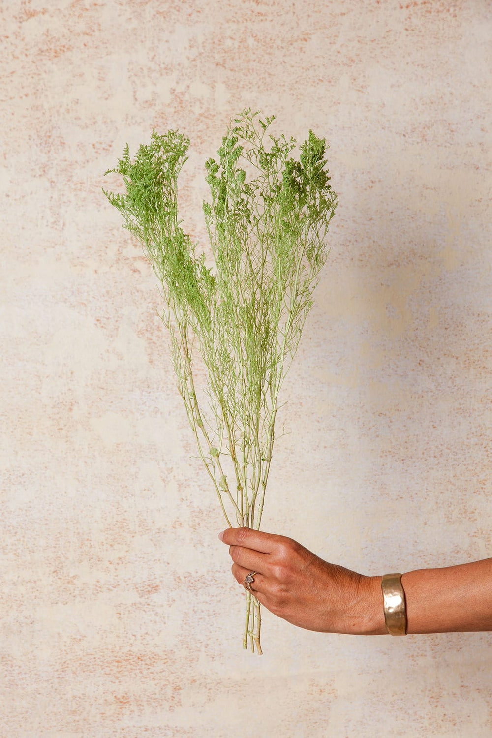 Bunches Spring Green Preserved Caspia send a bouquet- the best flower delivery