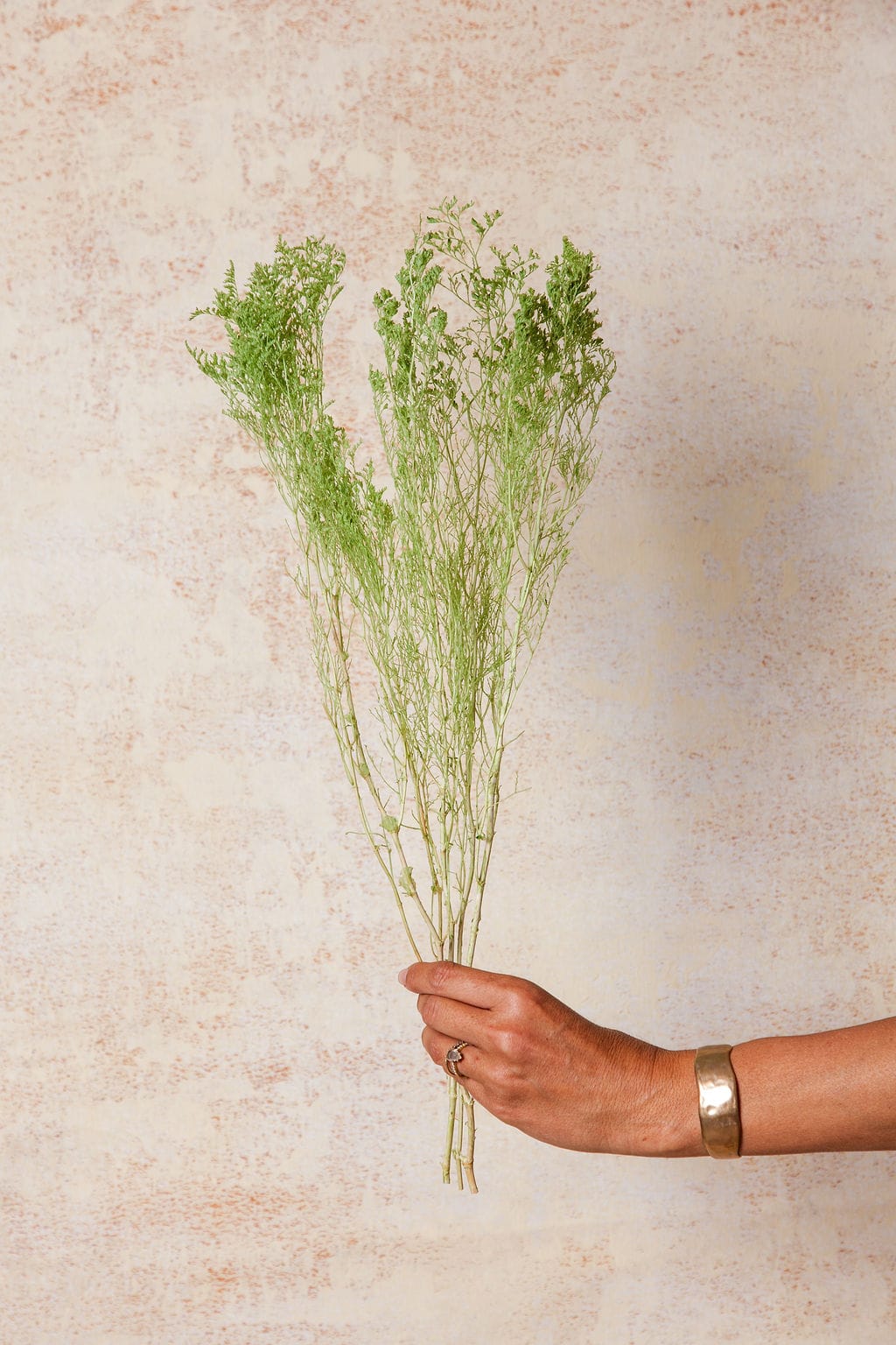 Bunches Spring Green Preserved Caspia send a bouquet- the best flower delivery