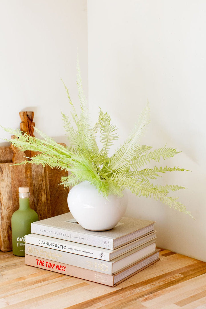 Bunches Spring Green Star Fern send a bouquet- the best flower delivery