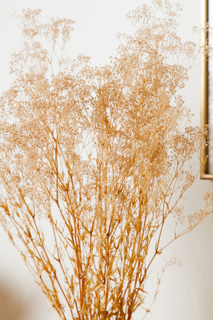 Bunches Tan Baby's Breath send a bouquet- the best flower delivery