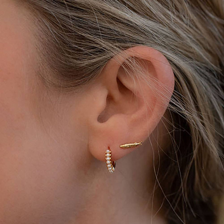 Teeny Fish Stud Earrings send a bouquet- the best flower delivery