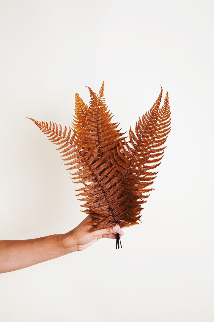 Bunches Terra Cotta Parchment Fern send a bouquet- the best flower delivery