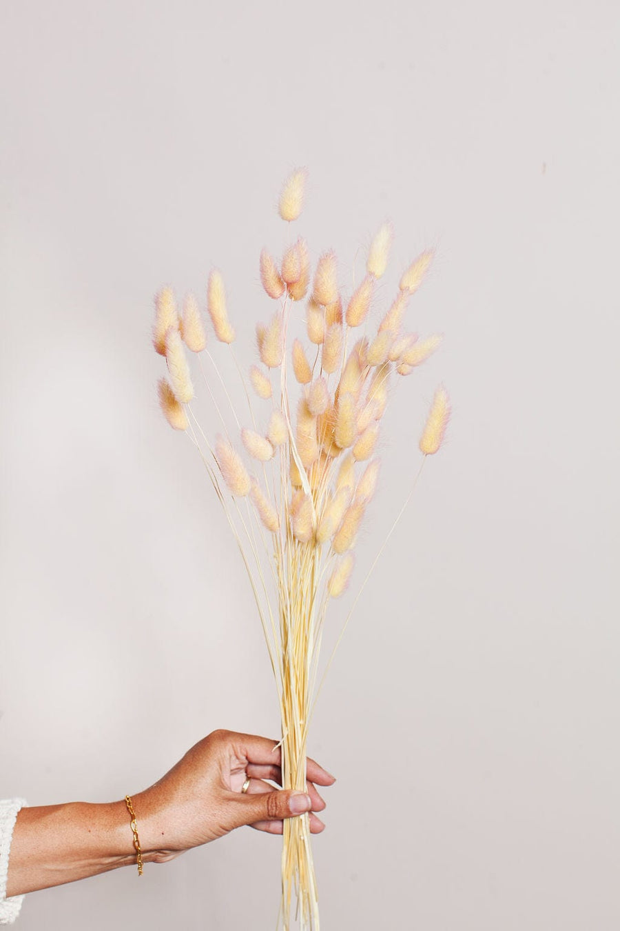 Idlewild Floral Co. Bunches Two Tone Apricot Bunny Tail