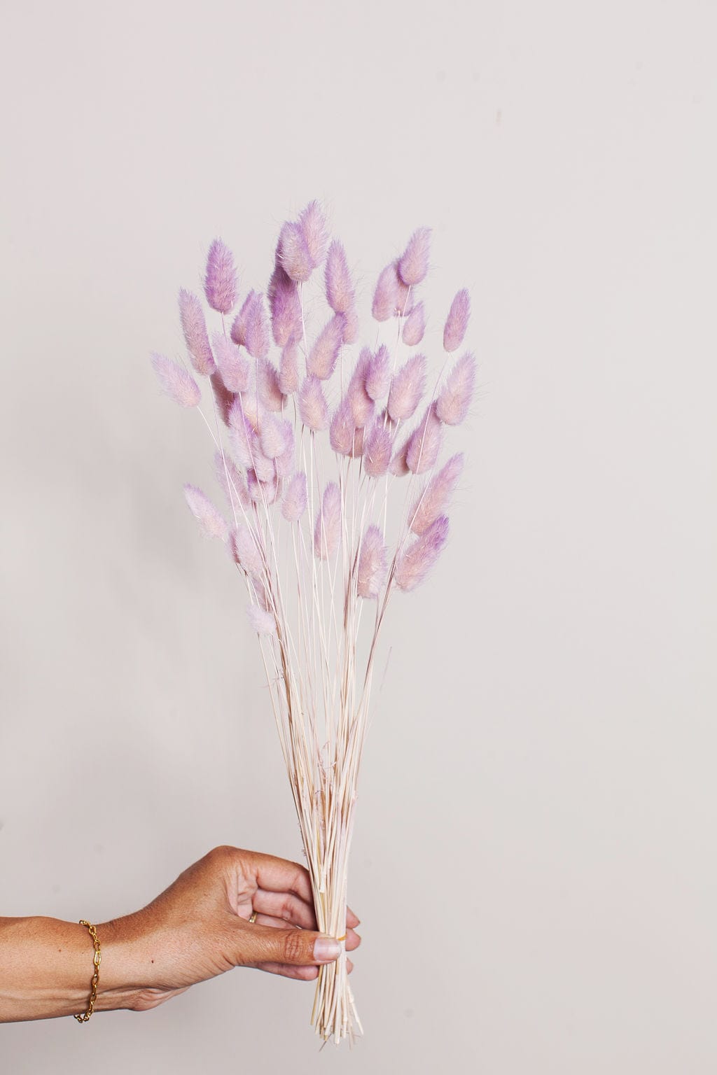 Idlewild Floral Co. Bunches Two Tone Lavender Blush Bunny Tail