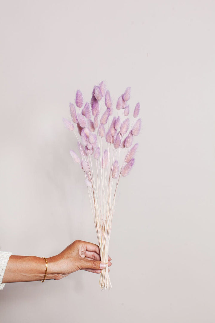 Idlewild Floral Co. Bunches Two Tone Lavender Blush Bunny Tail