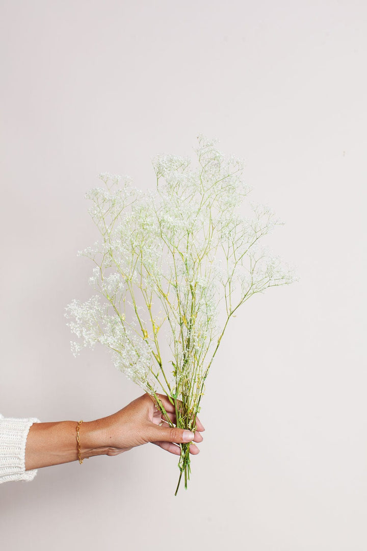 Idlewild Floral Co. Bunches White Green Baby's Breath