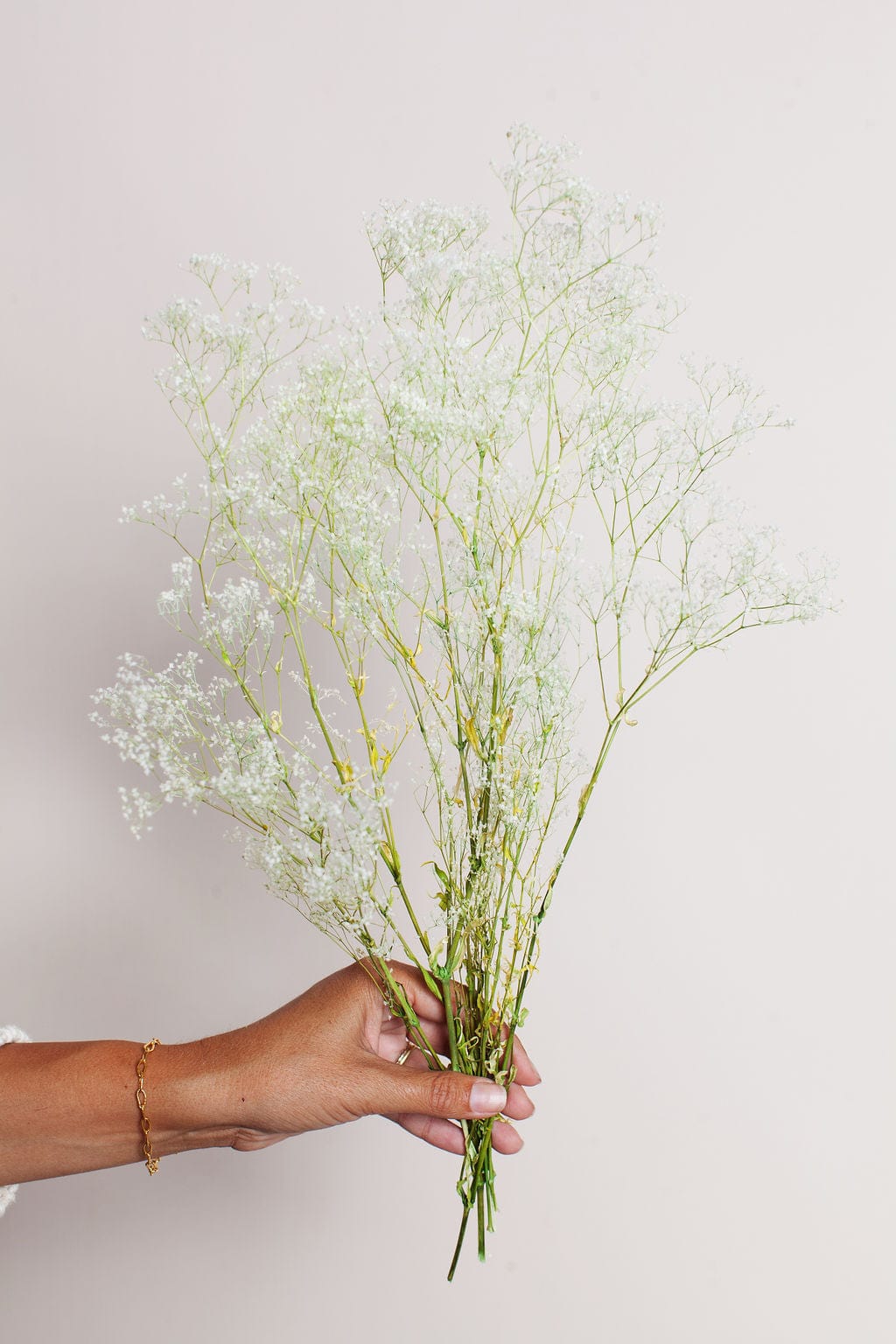 Idlewild Floral Co. Bunches White Green Baby's Breath