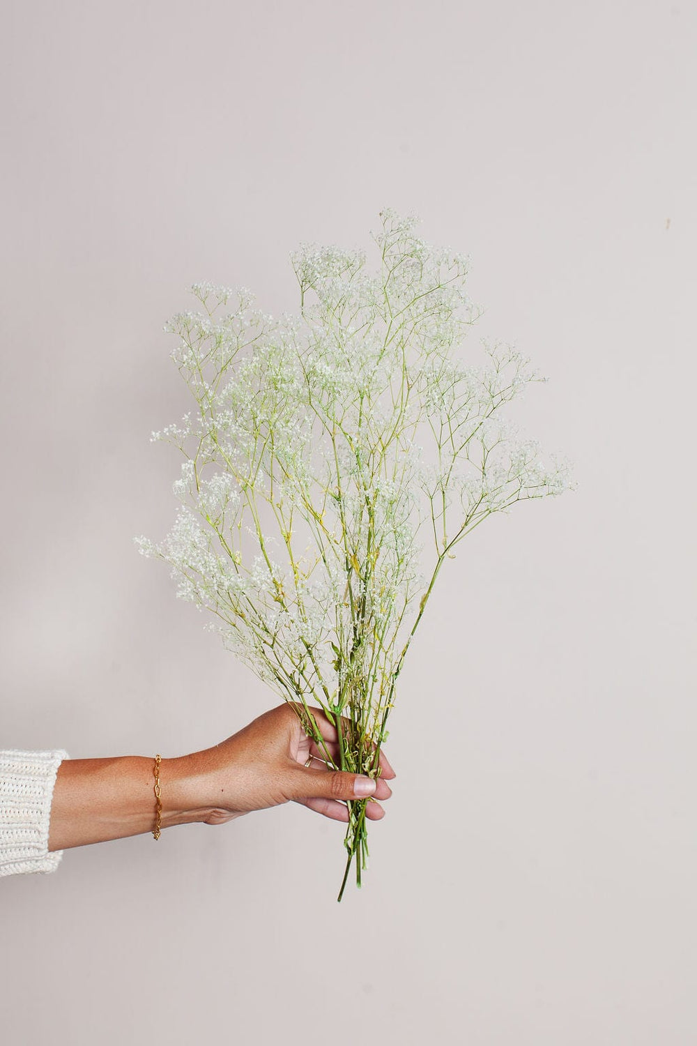 Idlewild Floral Co. Bunches White Green Baby's Breath