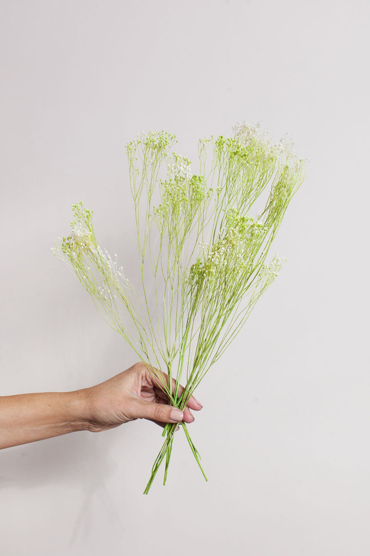 Bunches White Green Broom Bloom send a bouquet- the best flower delivery