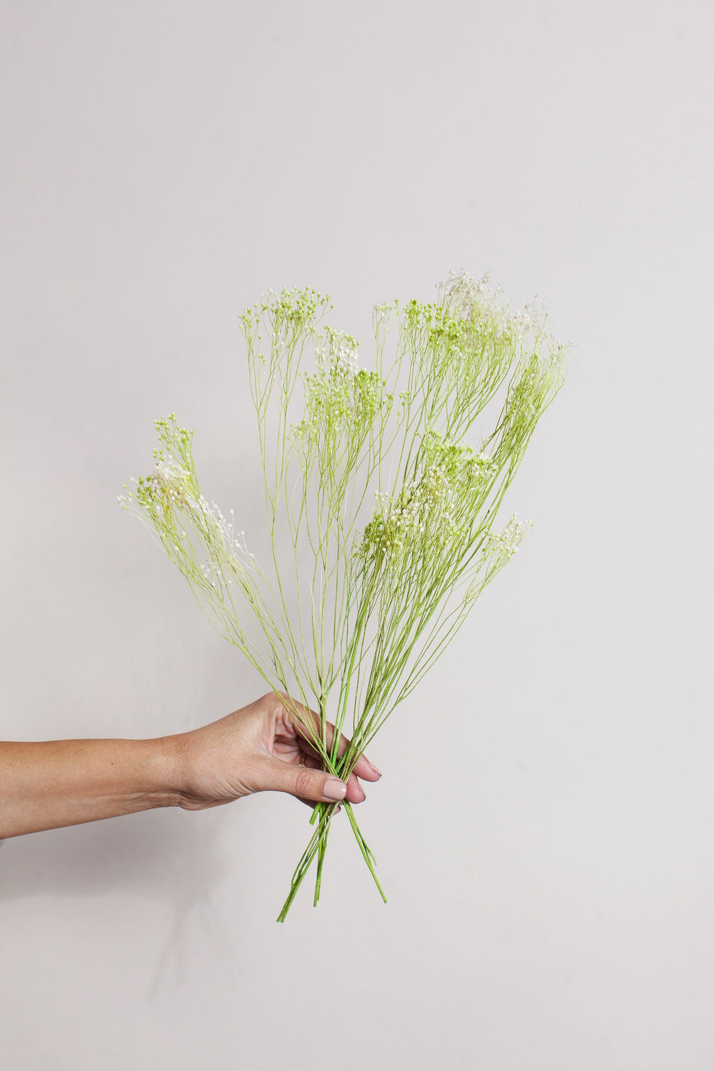 Bunches White Green Broom Bloom send a bouquet- the best flower delivery