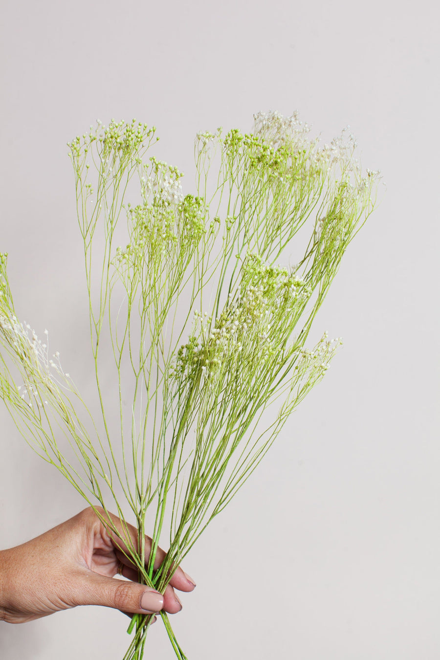 Bunches White Green Broom Bloom send a bouquet- the best flower delivery