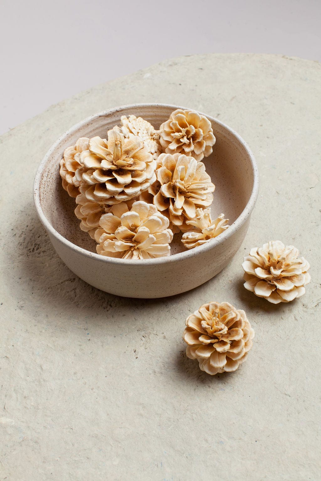 Idlewild Floral Co. Bunches White Pine Cones