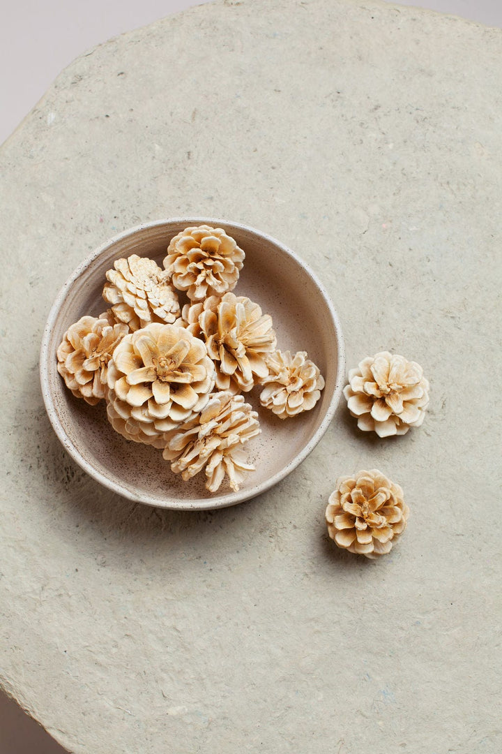 Idlewild Floral Co. Bunches White Pine Cones