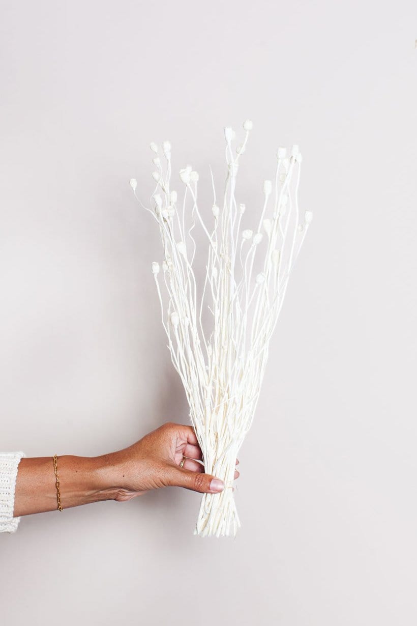 Dried and Preserved Flower Bunches