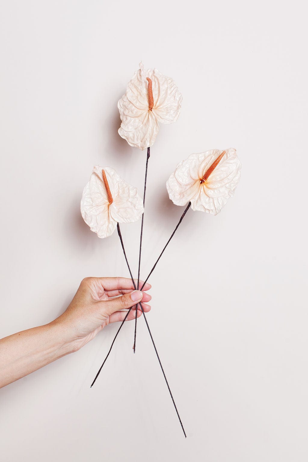 White Flower Bouquets | Bulk Dried Flowers Delivery – Idlewild