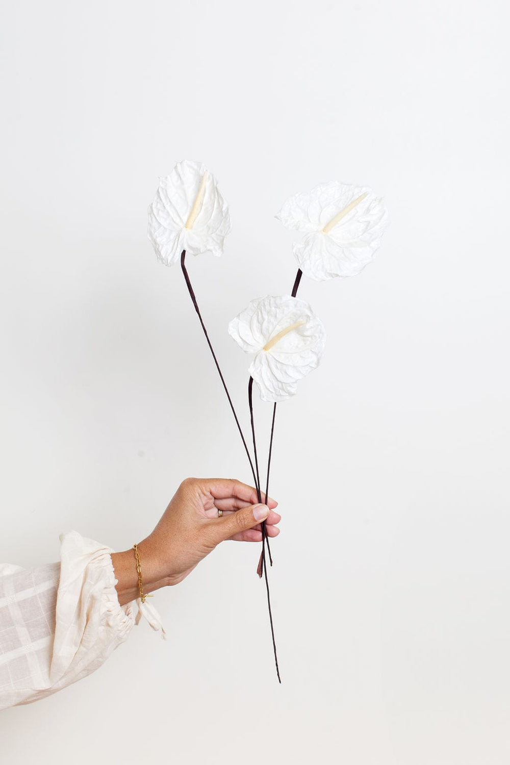 Bunches White Preserved Anthurium send a bouquet- the best flower delivery
