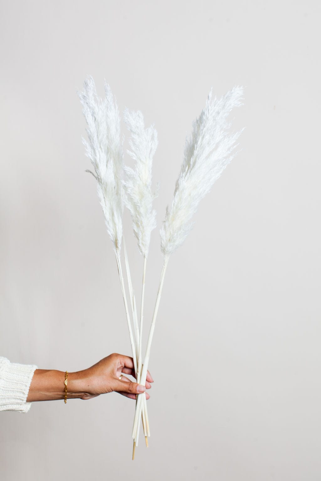 Idlewild Floral Co. Bunches White Preserved Pampas Grass