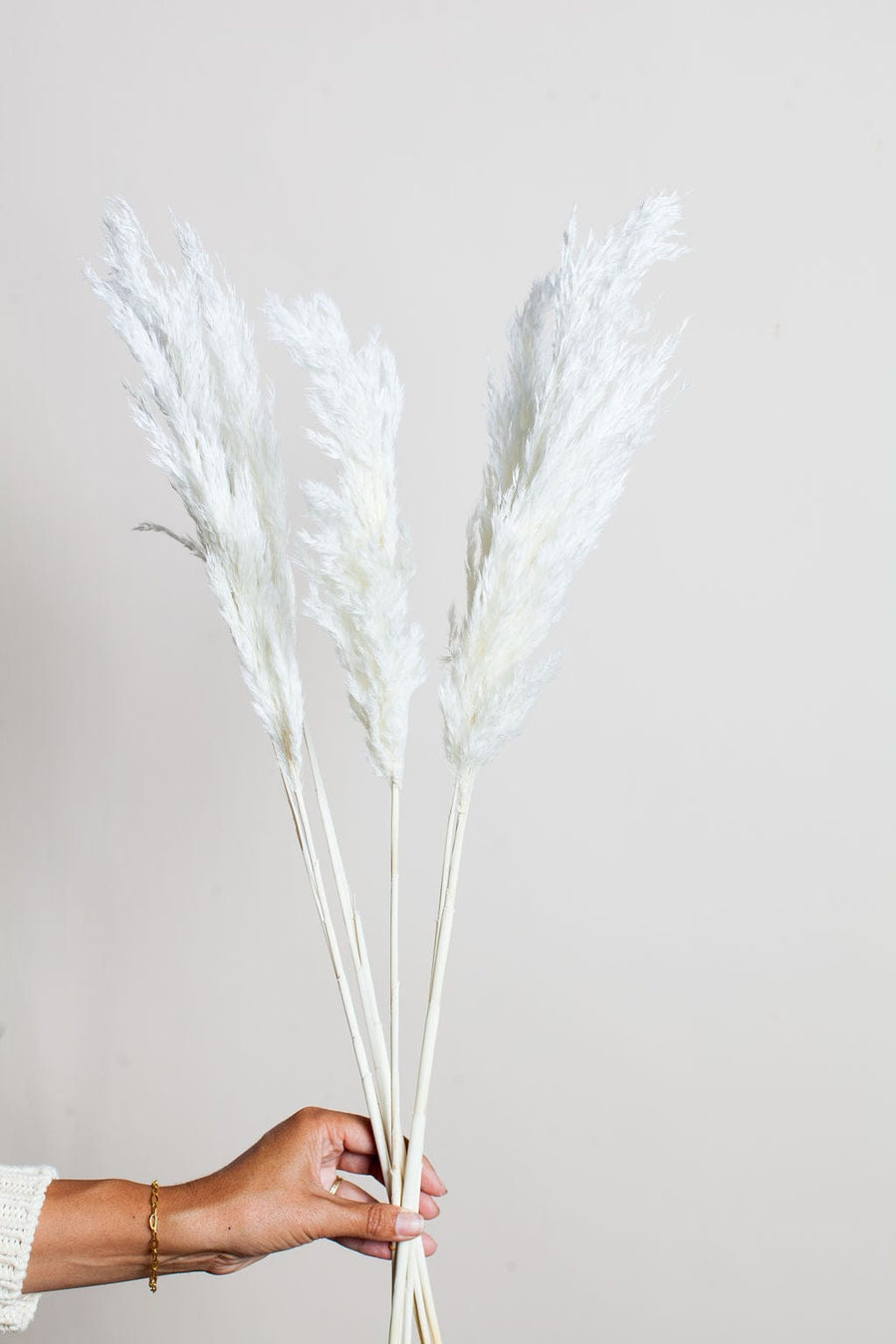 Idlewild Floral Co. Bunches White Preserved Pampas Grass