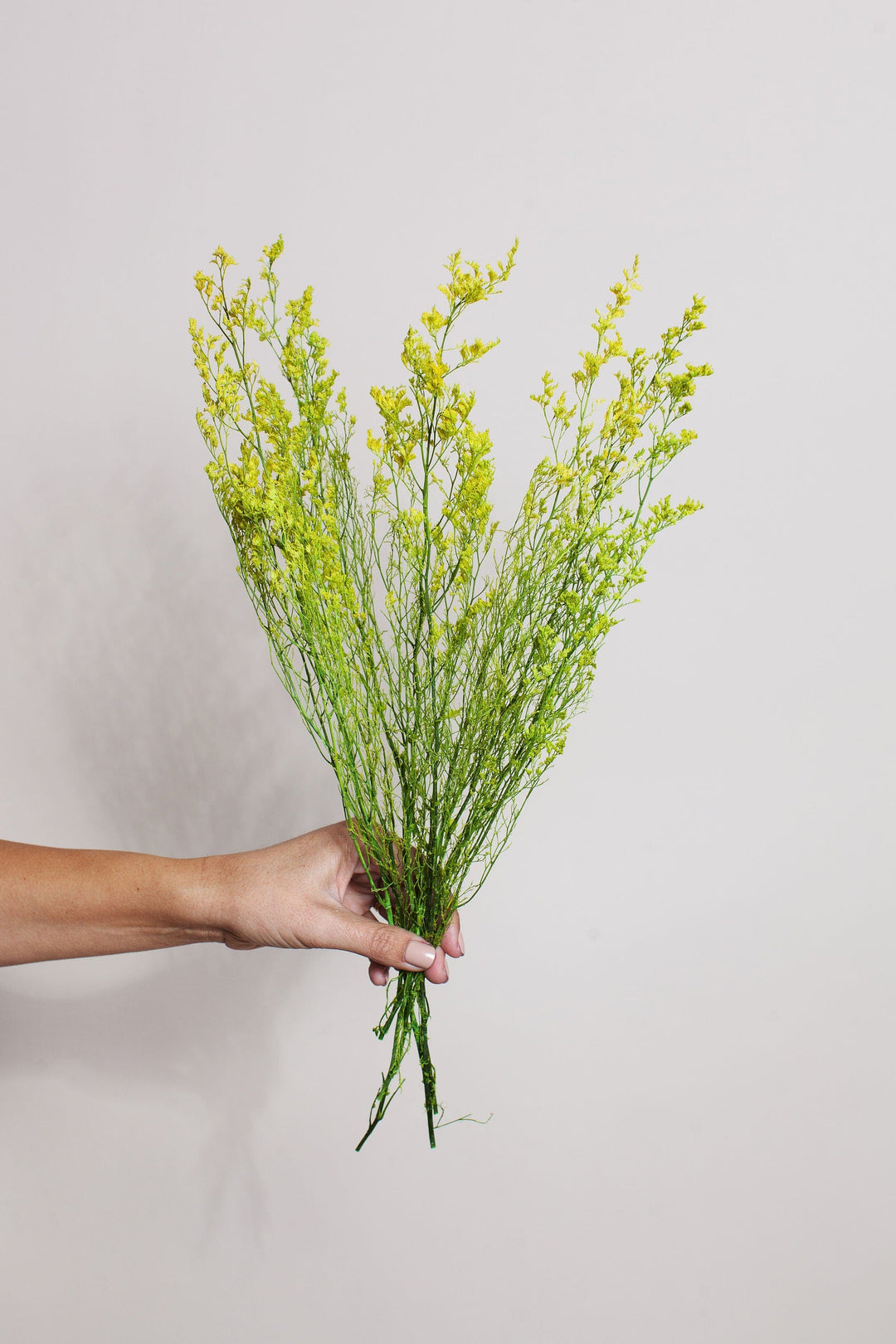 Bunches Yellow Green Caspia send a bouquet- the best flower delivery