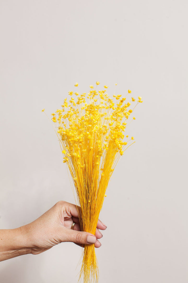 Bunches Yellow Mini Star Flower send a bouquet- the best flower delivery