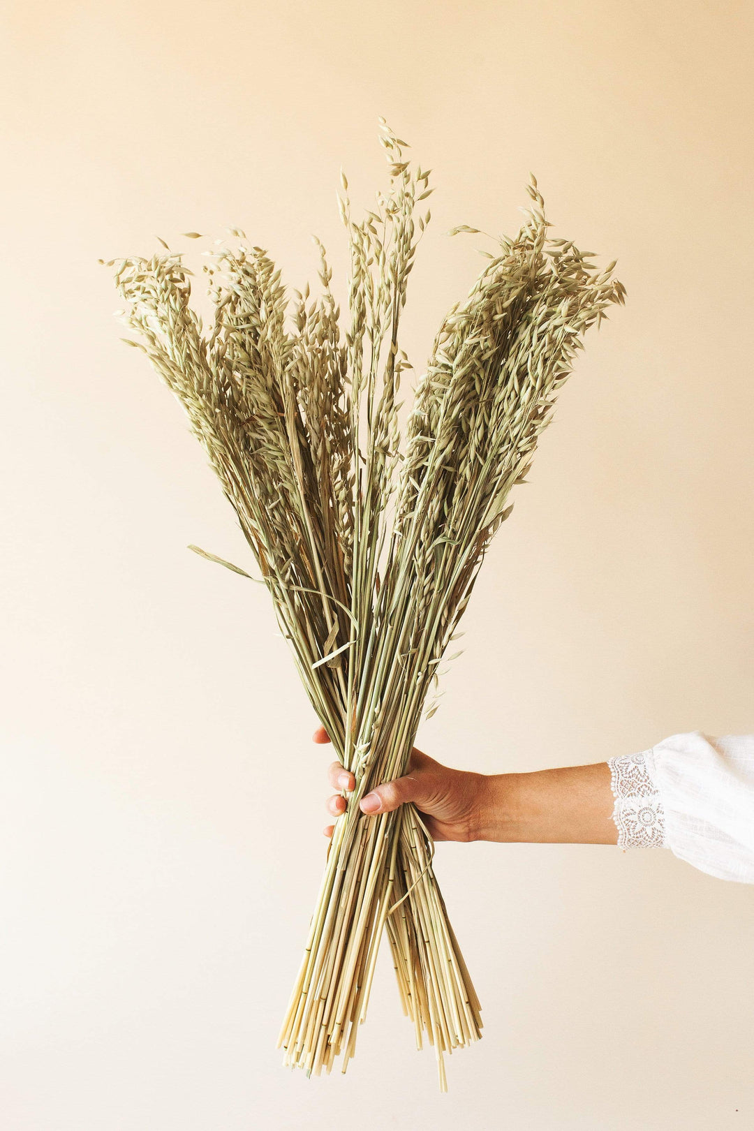 Idlewild Floral Co. Aveena Oat Grass
