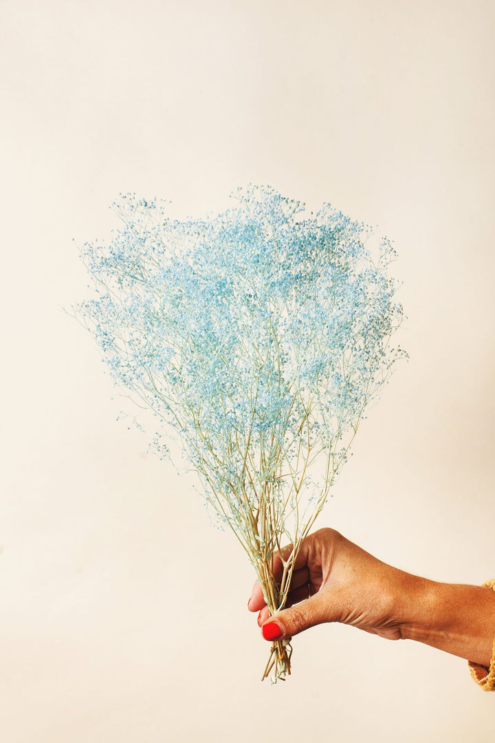 Idlewild Floral Co. Baby Blue Baby's Breath