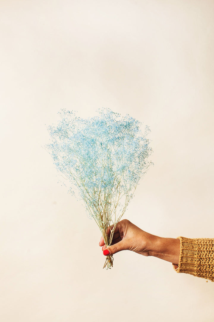 Idlewild Floral Co. Baby Blue Baby's Breath