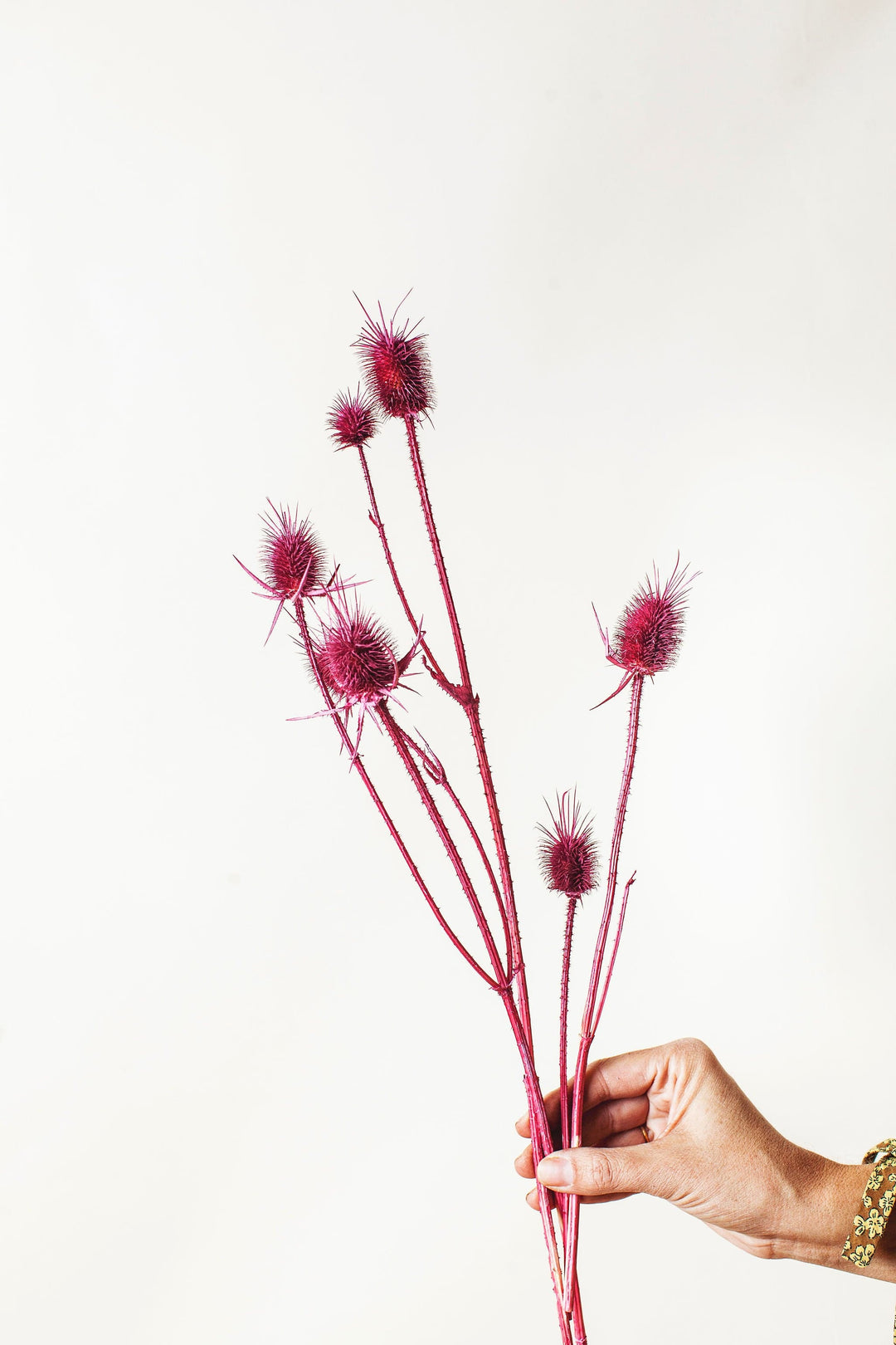 Idlewild Floral Co. Berry Thistle