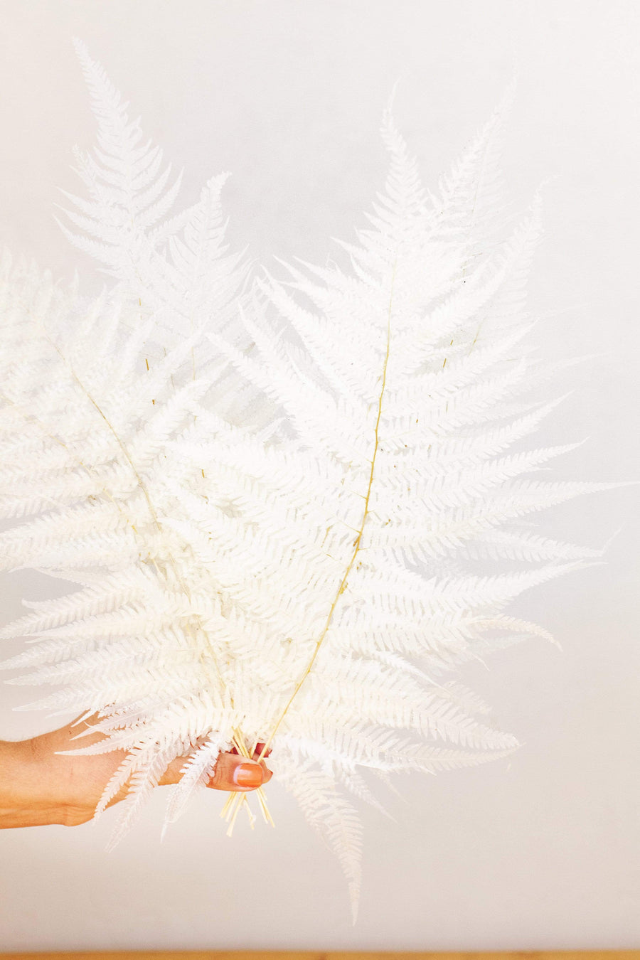 Idlewild Floral Co. Bleached White Fern