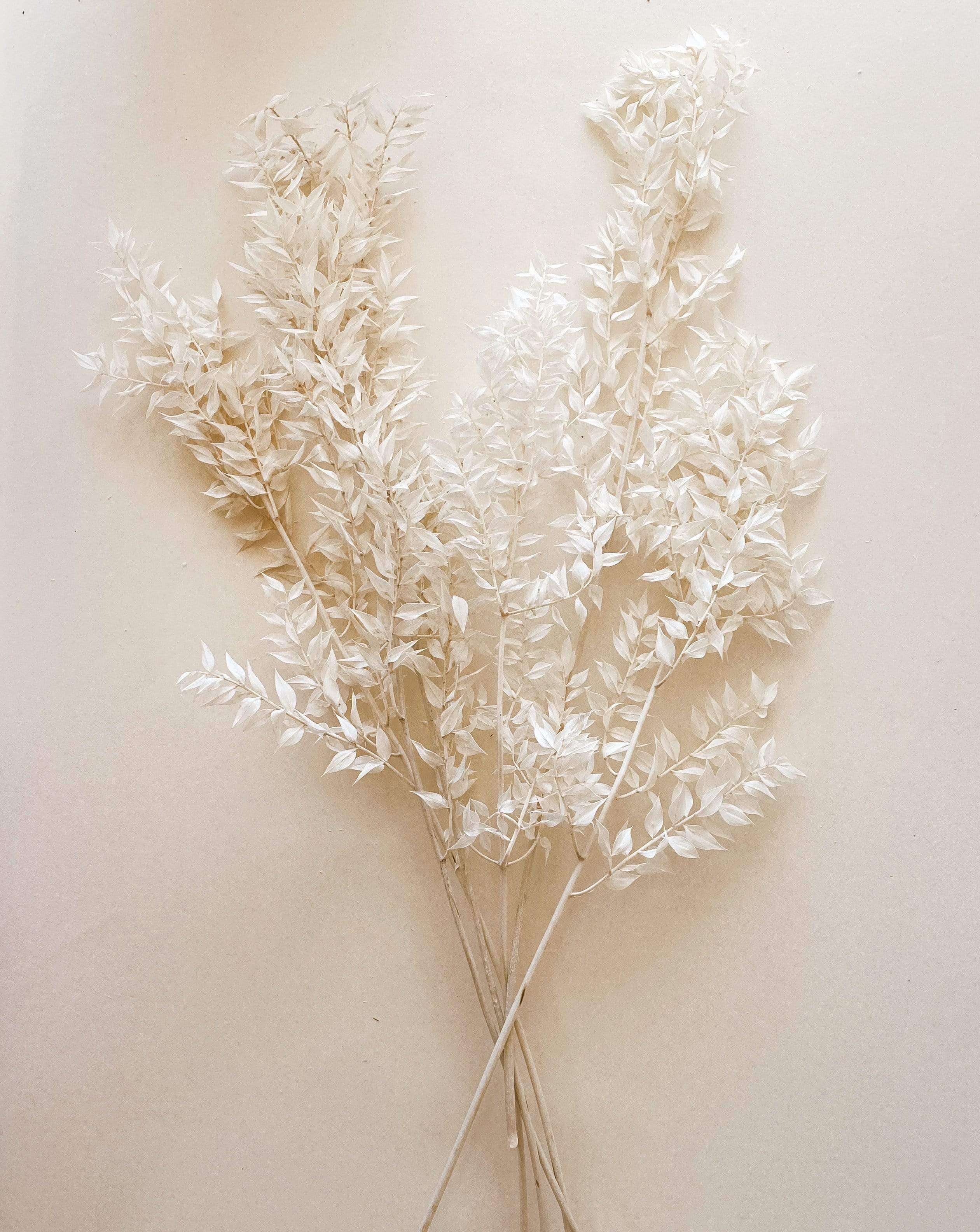 White Dried Flowers – Idlewild Floral Co.