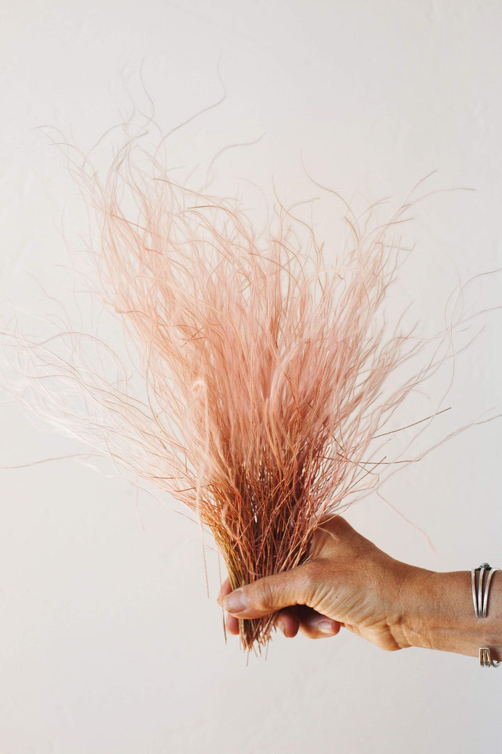 Idlewild Floral Co. Blush Feather Grass