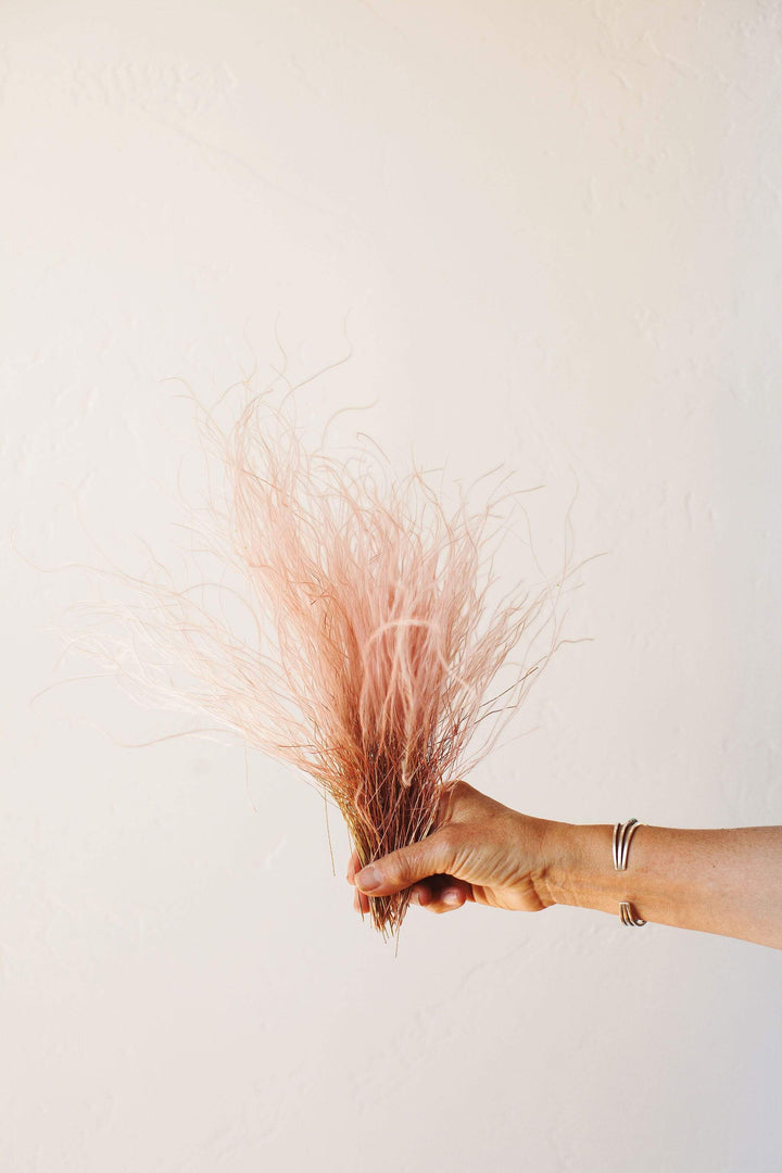 Idlewild Floral Co. Blush Feather Grass