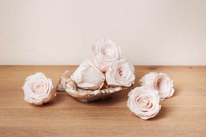 Idlewild Floral Co. Blush Preserved Roses